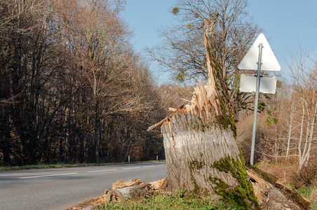 破坏路边断树飓风飓风暴灾难图片
