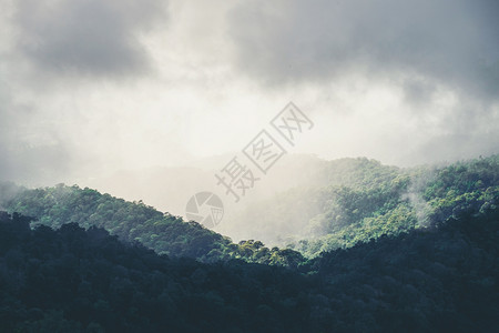 旅行山雾雨和森林景观谷绿色图片
