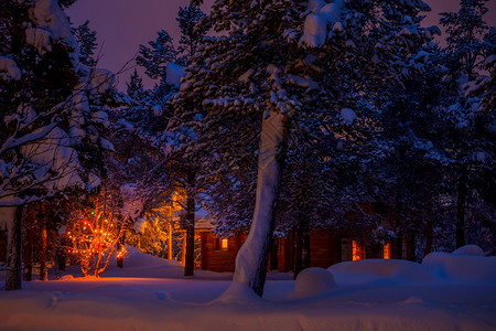 芬兰拉普夜间冬季森林和圣诞节园中的小屋许多雪林圣诞园地和照明村庄木头图片