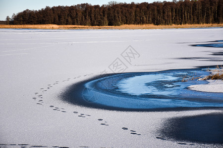 小心一种旅行风景与明亮的冰冻湖人类脚印图片