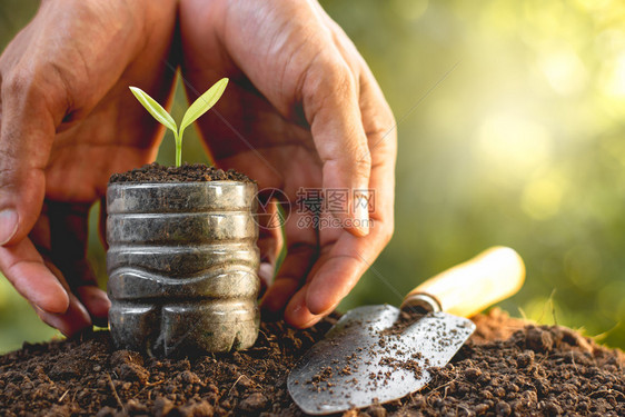 老的散景自然回收塑料瓶中的幼苗被放在肥沃的土壤上因为月经的手环绕在周围生态概念图片
