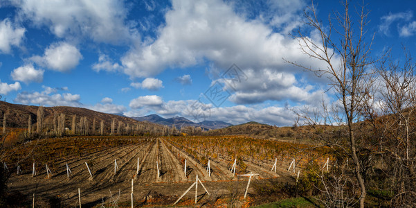 葡萄酒农场在山地和天空背景下的秋谷树林园叶山谷全景图片