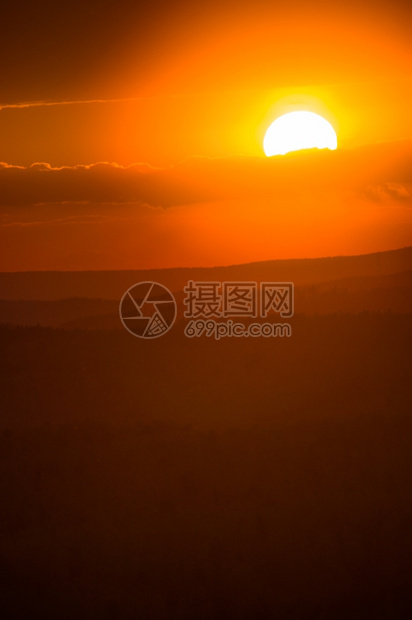 太阳的橙色圆盘日落时沉入地平线场景松树阳光图片