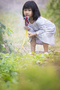 孩子们活动放松年幼的亚洲儿童在家庭花园里玩耍图片