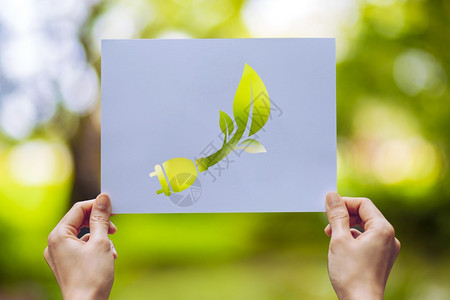 回收拯救世界生态概念的环境保护用手握剪切纸露出来保护环境象征绿色图片