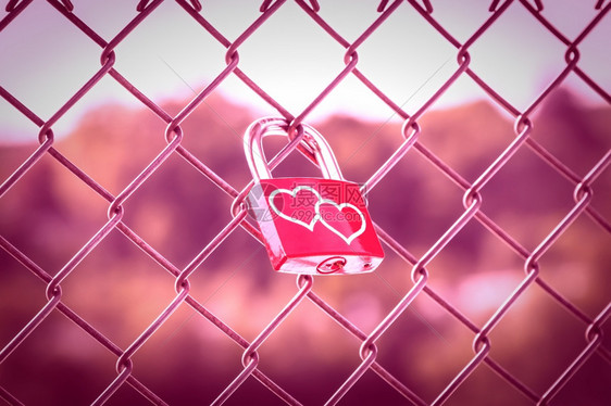 象征浪漫两颗心在爱的锁子上用粉红色的音调风格在栅栏上安全的图片