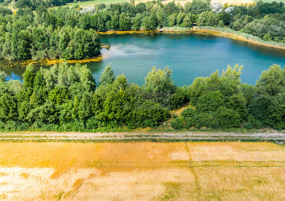 农场用无人驾驶飞机在收获的黄麦田后面对一个蓝色池塘进行空中观察植物路图片