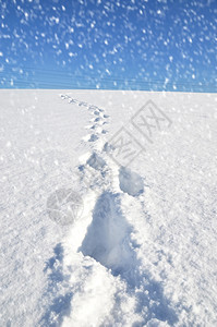 谷地平线雪上的脚足迹堤图片