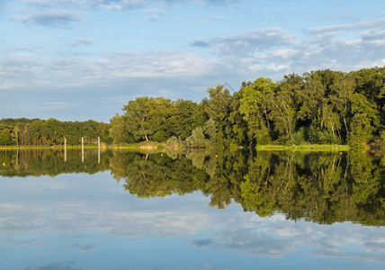 在荷兰的Weert这是夏天一个游泳的地方和湖中树木的水面反射地方这代表着在湖中树的喷泉回映池塘水边绿色图片