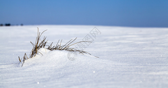 暴风雪和降后白桑尼天气下深雪漂流白纯森林太阳美丽高清图片