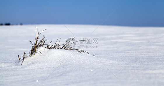 暴风雪和降后白桑尼天气下深雪漂流白纯森林太阳美丽图片