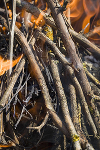 火热目的点燃烧饭时着中的树枝紧闭火点燃烧着的橙色火枝焰中的细条热图片