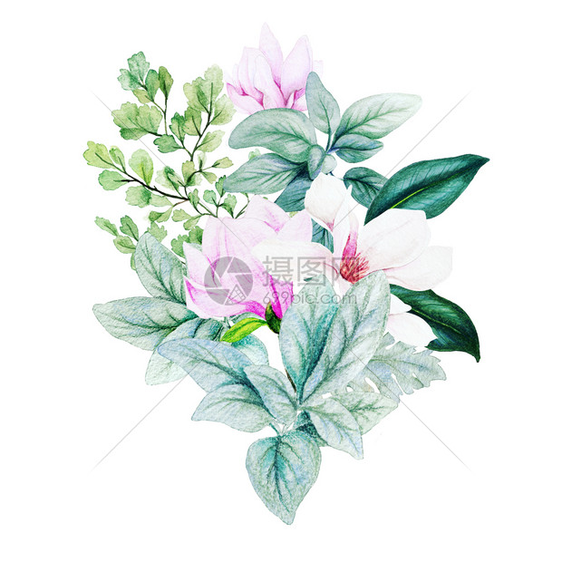 卡片Magnolia和叶子亮水彩花束配有fern羔羊耳朵手画插图形象的邀请图片