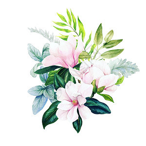 Magnolia和叶子亮水彩色花束与fern手画插图明亮的开花形象图片