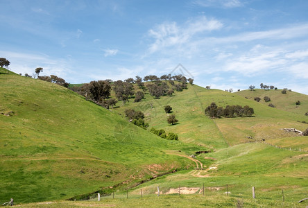 追踪澳大利亚南新威尔士州澳大利亚新威尔士的农村田胶牧场图片