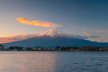 风景优美日本川口湖田藤出丘陵图片