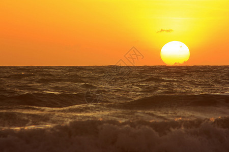 太阳从海中升起图片