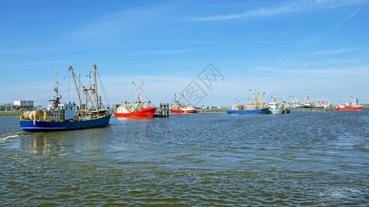 血管码头港口荷兰Lawewersoog港的渔船荷兰图片