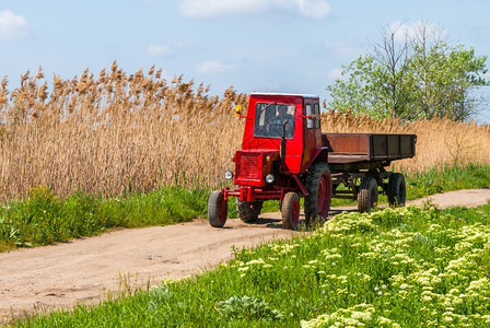 胡茬农地上的红色旧拖拉机绿农艺学图片