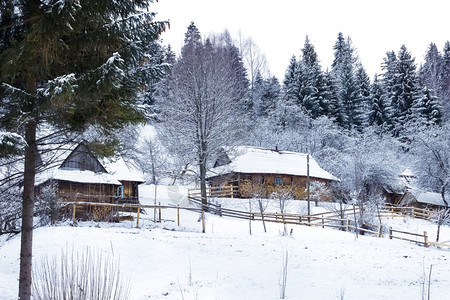 冬天被雪覆盖的森林中木屋被雪覆盖的森林中木屋树户外云图片