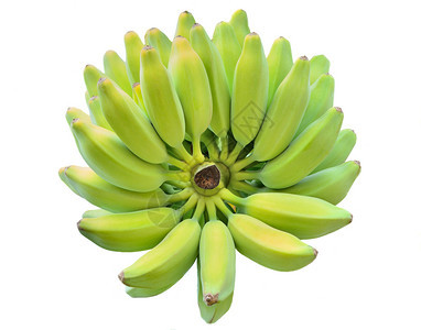 一大串新鲜香蕉图片