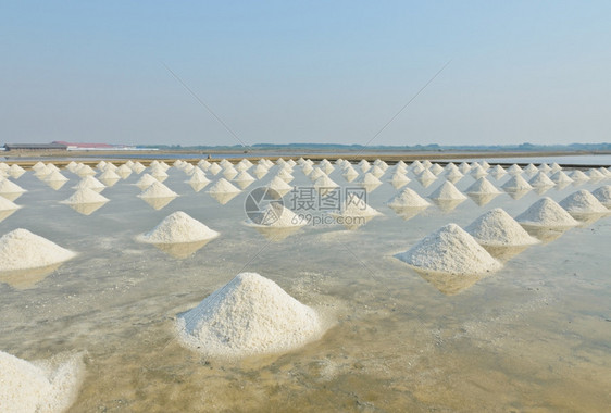 生的农民食物海盐养殖场图片