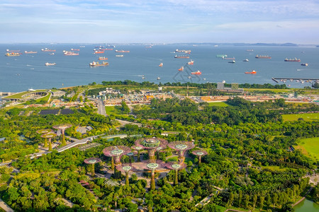 旅游建造新加坡湾旁的花园全景超级树林绿地以及海湾和新加坡空中突袭船只对花园的空中观视全景和海上突袭船只的击户外图片