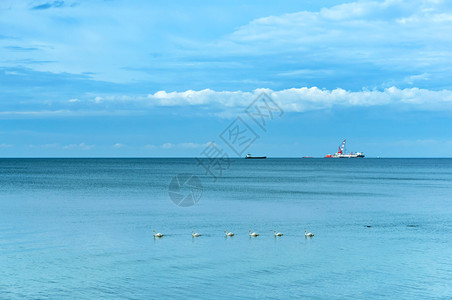 地平线上的船远处海旅行浪景观图片