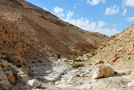 以色列内盖夫阿拉德附近的沙漠峡谷KidodCeek中间墙壁天空图片
