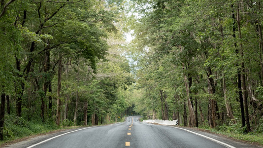 通往绿林的清空沥青路车道中间图片