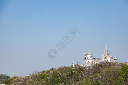 地标在高山的寺庙和塔木上有树晴天灵象征图片