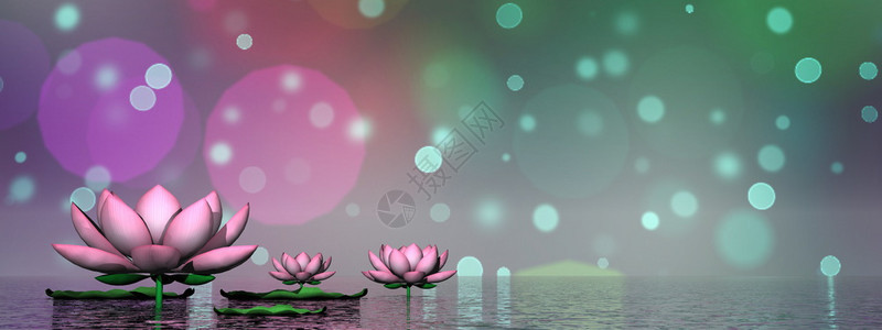 百合Lily的花朵和叶子在绿木鸟背景的水上3D制成D灵魂松弛图片