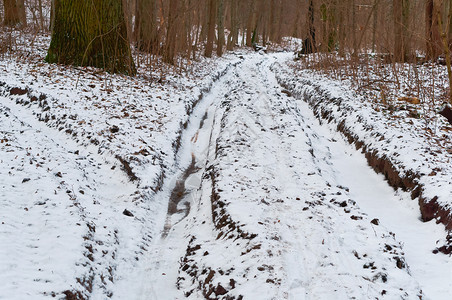 天气白色的森林里被雪覆盖的肮脏道路泥土上的深轨道泥土路上的深轨道森林里被雪覆盖的肮脏道路污垢图片