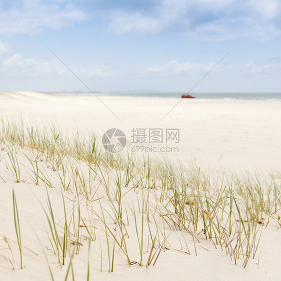 车一种在海滩上看到沙子和草地背景有红色的4wd天图片