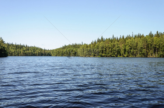 海岸自然大索洛维茨基岛森林中的湖景夏季荒野图片