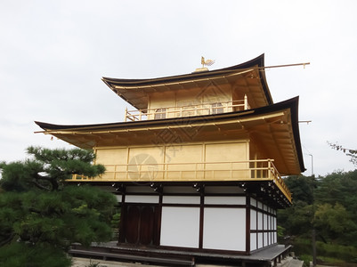 池塘日本的九角寺庙地标松树图片