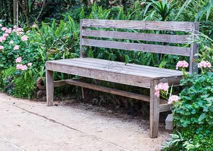 郁葱自然植物园道上的木板凳子花园图片