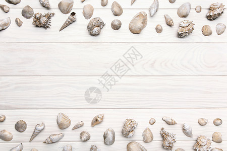 夏季背景有白色木制桌许多贝壳的白木桌Top图像复制文本空间自然质地航海的图片
