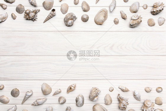 夏季背景有白色木制桌许多贝壳的白木桌Top图像复制文本空间自然质地航海的图片