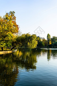 布加勒斯特市中心公园CismigiuGardardGradinaCismigiu湖附近的绿色地一种蒙建筑学图片