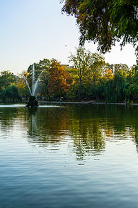 蒙西斯米久布加勒特市中心公园CismigiuGardardGradinaCismigiu湖附近的绿色地一种图片