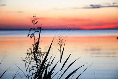 黎明充满活力在色彩繁多的日落下海岸边的长丰富多彩图片