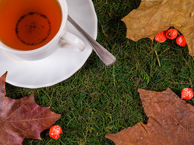 绿色水果叶子草上含黄和红莓的黑茶杯图片