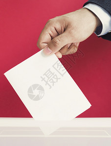 选票问卷卡片Olymposus数字摄影机人用空票箱模拟图片