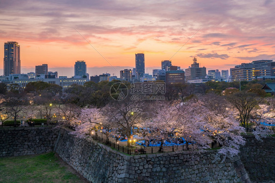 季节大阪市天际满盛的樱花朵暮图片