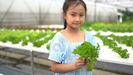 在农场拿着一把生菜的小女孩图片