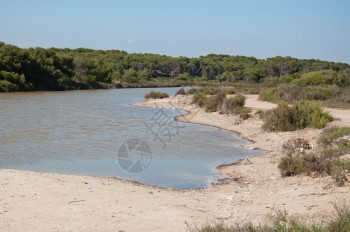 在西班牙巴利阿里群岛Mallorca的阳光明媚夏日埃斯特雷茨海滩附近的盐沼泽七月假期八图片