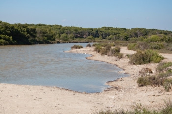 在西班牙巴利阿里群岛Mallorca的阳光明媚夏日埃斯特雷茨海滩附近的盐沼泽七月假期八图片