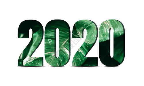 年新快乐20年徽标文本设计自然界国际年颜色以白背景孤立数字设计图片