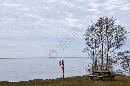 从波罗的海瑞典群岛奥兰与人命之宝和长凳休眠地的沿海观点景树云图片